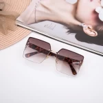Sonnenbrille für Frauen 2020-158 C2 Brown 2020