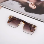 Sonnenbrille für Frauen 2020-158 C2 Brown 2020