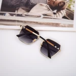 Sonnenbrille für Frauen 2020-108 C1 Schwarz | 2020