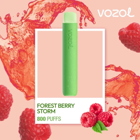 One -Time Electronic Shisha Star800 Forest Berry Storm | Vozol