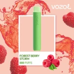 One -Time Electronic Shisha Star800 Forest Berry Storm | Vozol