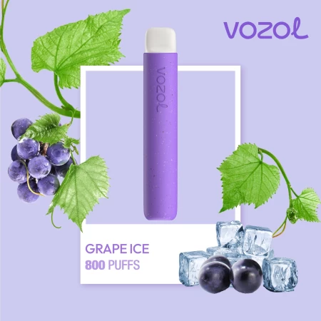 One -Time Electronic Shisha Star800 Grape Ice | Vozol