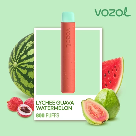 One -Time Electronic Shisha Star800 Lychee Guava Watermelon | Vozol
