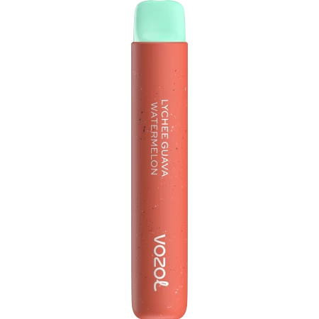 One -Time Electronic Shisha Star800 Lychee Guava Watermelon | Vozol