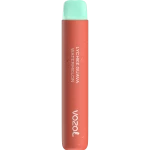 One -Time Electronic Shisha Star800 Lychee Guava Watermelon | Vozol