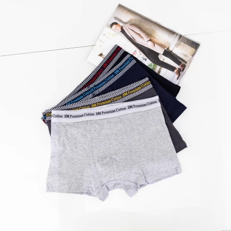 Herrenboxer R81026 | Abang