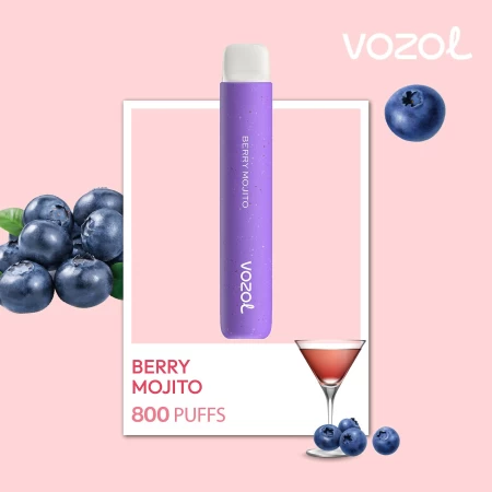 One -Time Electronic Shisha Star800 Berry Mojito | Vozol