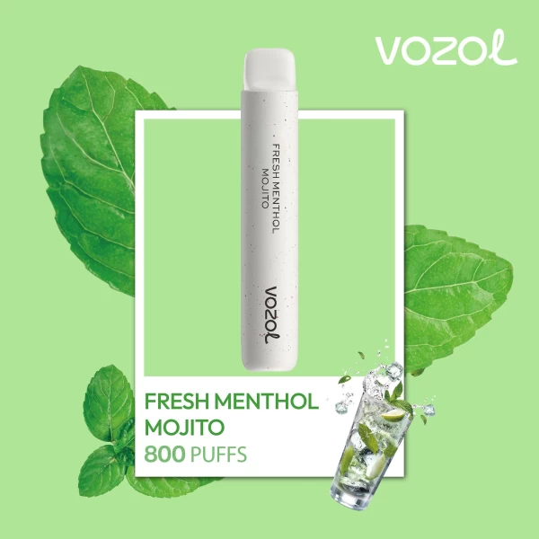 One -Time Electronic Shisha Star800 Fresh Menthol Mojito | Vozol