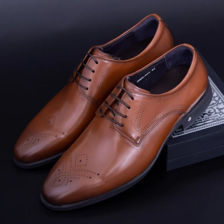 Herrenschuhe 7065-845 Brown Stephano