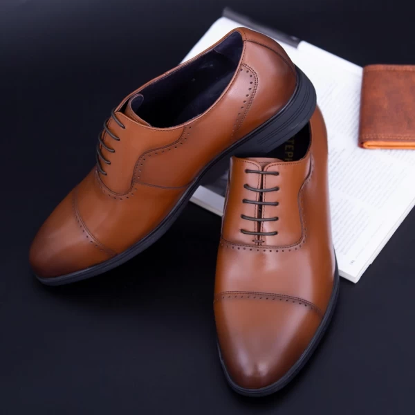 Herrenschuhe f066-023 braun Stephano