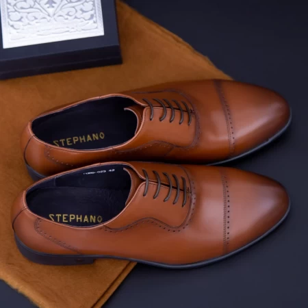 Herrenschuhe f066-023 braun Stephano