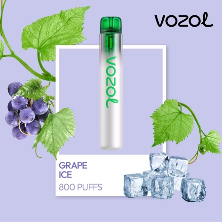 One -Time Electronic Shisha Neon800 Traubeneis | Vozol