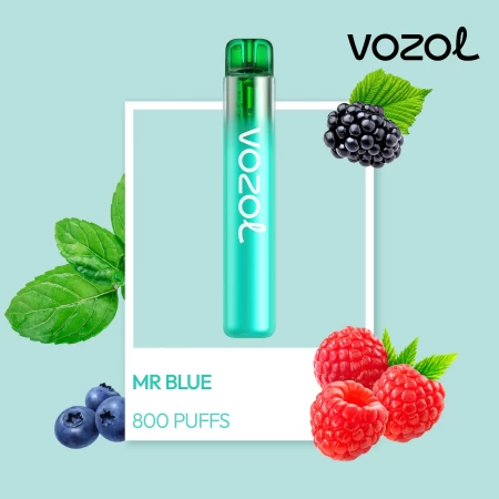 One -Time Electronic Shisha Neon800 Mr Blue | Vozol