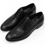 Herrenschuhe 2028-51 Schwarz Eldemas