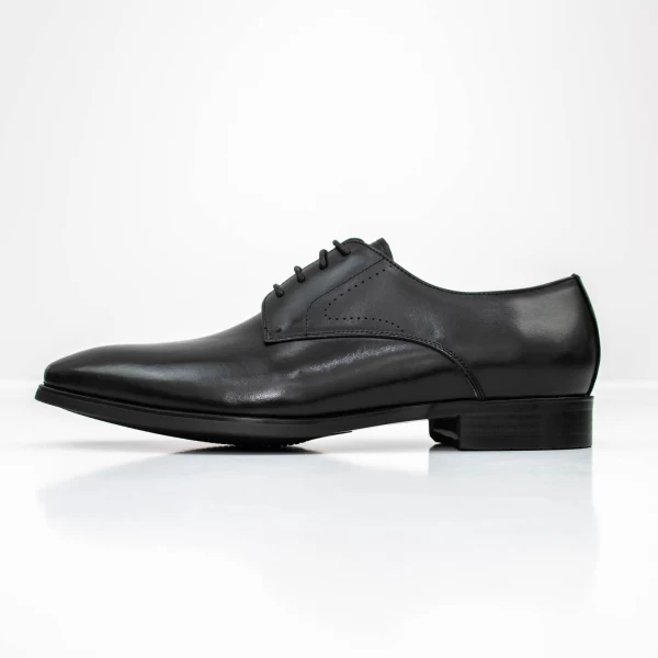 Herrenschuhe 2103-52 Schwarz | Eldemas