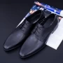 Herrenschuhe aus natürlichen Leder QF576-K51 Black | Stephano