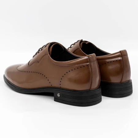 Herrenschuhe f066-025 braun Eldemas