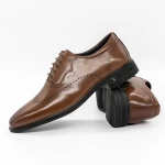 Herrenschuhe f066-025 braun Eldemas