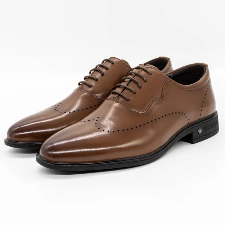 Herrenschuhe f066-025 braun Eldemas
