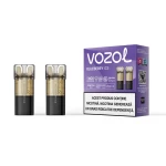 Einzeleinsatzschalter Pro Blueberry Ice | Vozol